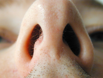 Os pêlos do nariz pode indicar hora exata da morte