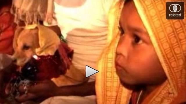Na Índia pais obrigam filha a casar com cachorro para enganar o demônio