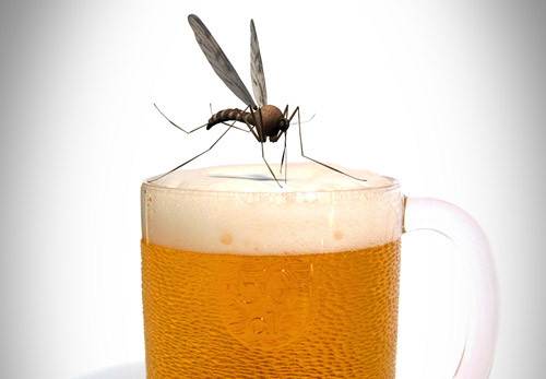 Estudo revela que quem bebe cerveja se torna “preferência” de mosquitos