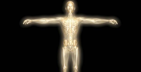 Cinco partes do corpo humano que não servem para nada
