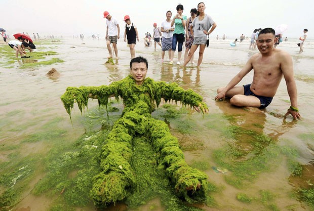 Praia cheia de algas encanta chineses