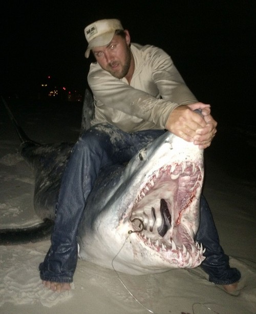 Pescadores batem recorde fisgando tubarão de 365 quilos