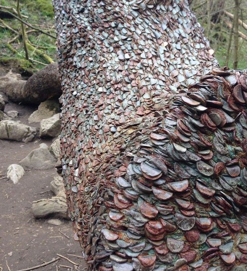 Você já pensou em ver dinheiro brotando em árvores? Veja como é no Reino Unido