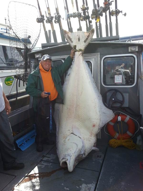 Americano captura peixe mutante com mais de 200 kg