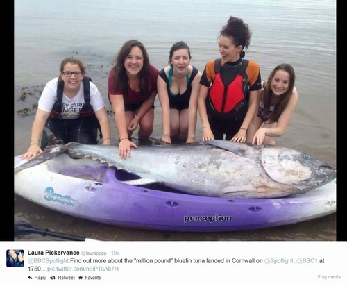 Amigas encontram atum de R$ 3,8 milhões em praia da Inglaterra