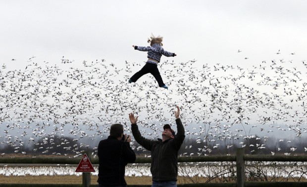 Pai lança filha a três metros de altura após se empolgar com revoada de pássaros