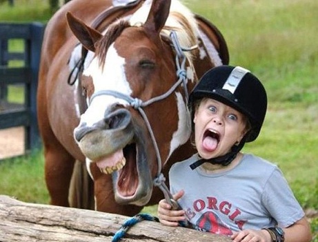 As imagens mais engraçadas de animais em 2012